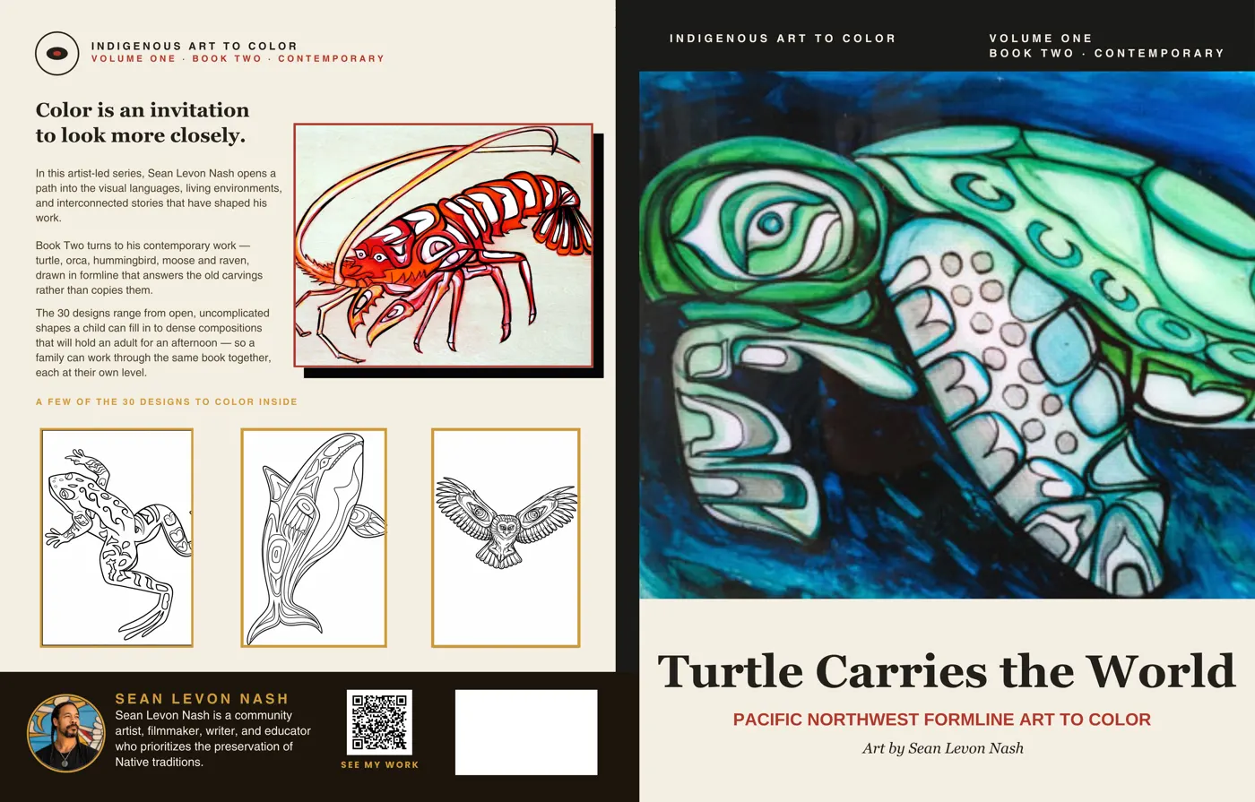 The full cover wrap of Turtle Carries the World: back with sample pages, a green formline sea turtle on the front.